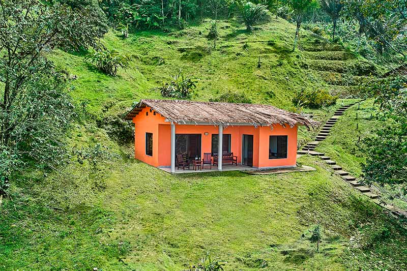 Naranja - Rainforest Lodge