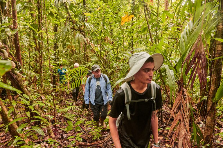 Exkursionen im Dschungel von Panama
