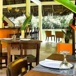 Bar-Jaguar-und-Rainforest-Restaurant